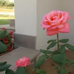 Lauro Luxury Bed and breakfast 4*