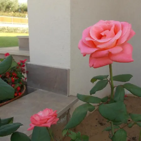 Lauro Luxury Bed and Breakfast 4*